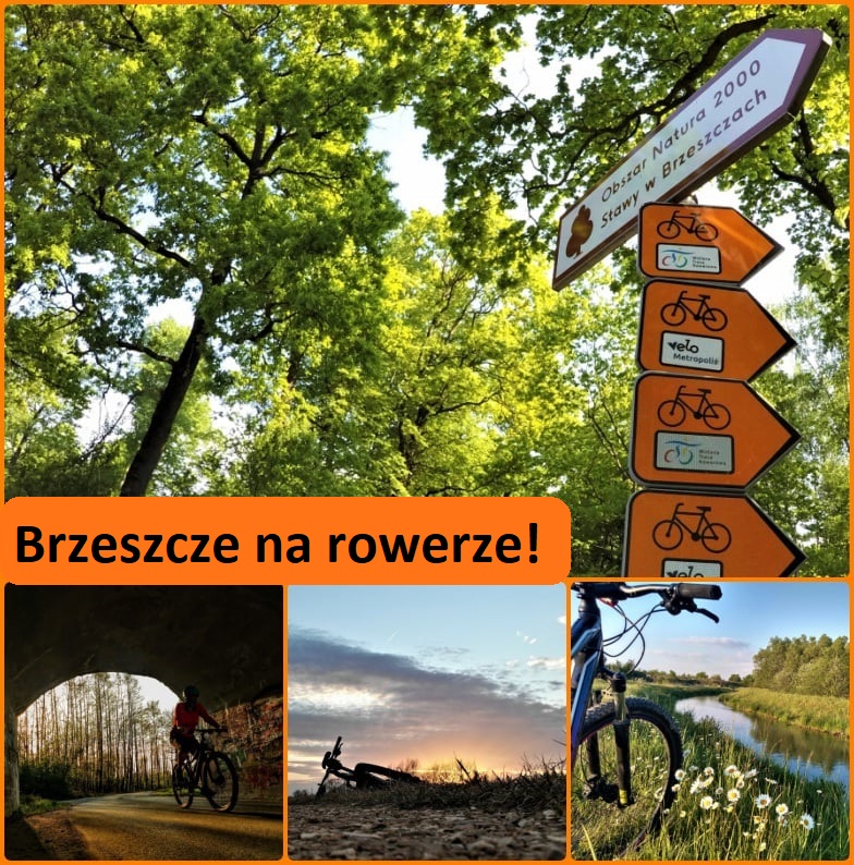 brzeszcze na rowerze- zdjęcia z trasy 