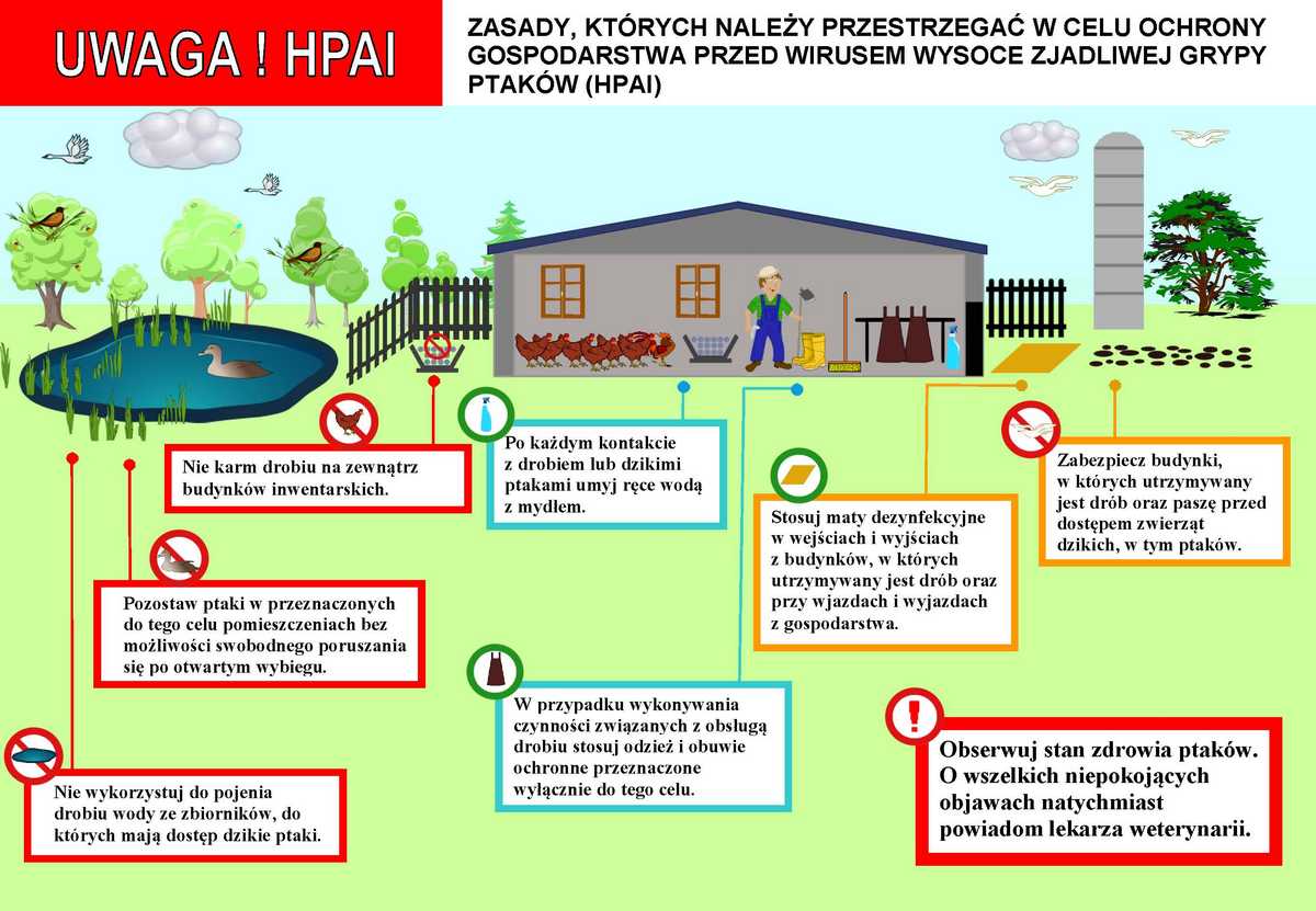 grafika- zasady bezpieczeństwa dla rolników w celu ochorny przed wirusem grypy ptaktów