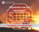 Wypalanie traw - proceder groźny nie tylko dla środowiska!