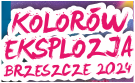 Eksplozja kolorów holi - piknik rodzinny z okazji Dnia Dziecka