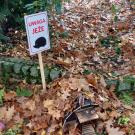 Dzień Jeża - ekoedukacja w gminnych przedszkolach