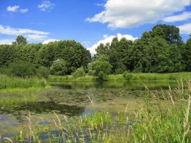 Nad starą Wisłą